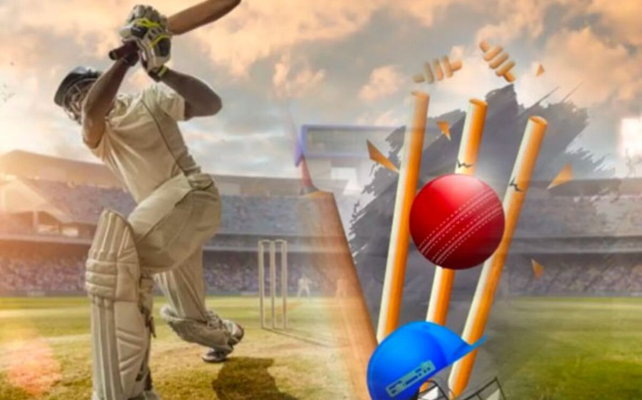 Cricket / Sports